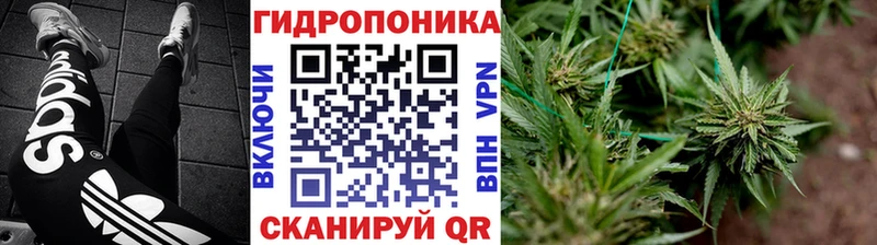 Наркошоп купить Кокаин Меф мяу мяу Гашиш A PVP Галлюциногенные грибы Канабис Стрежевой