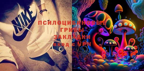 индика Белоозёрский