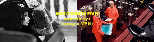 индика Белоозёрский