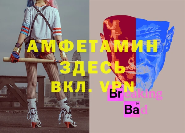 индика Белоозёрский