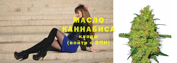 индика Белоозёрский