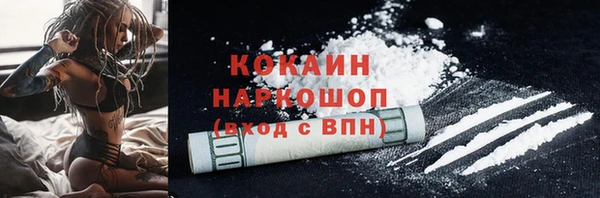индика Белоозёрский