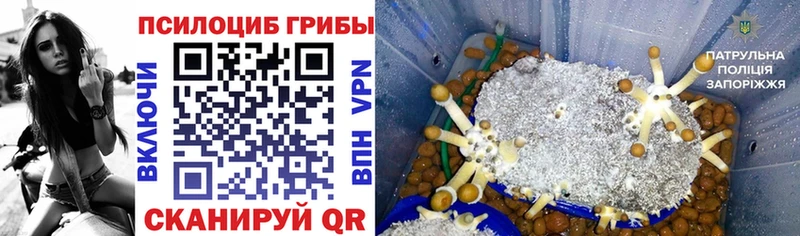 Псилоцибиновые грибы ЛСД  Купить  Стрежевой 