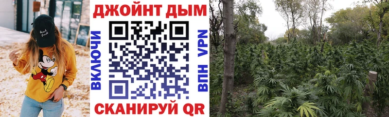 Канабис план Стрежевой